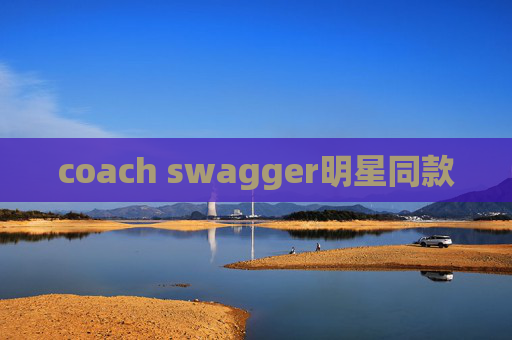 coach swagger明星同款